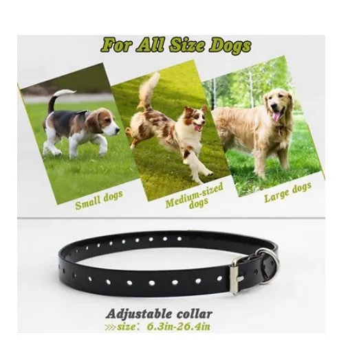 Petrainer 998DBU Waterproof Dog Training Collar