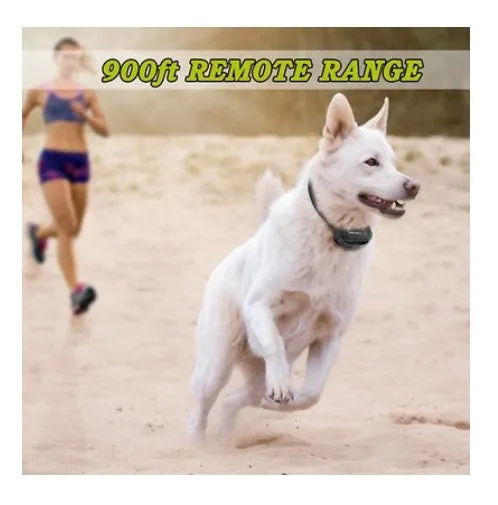 Petrainer 998DBU Waterproof Dog Training Collar